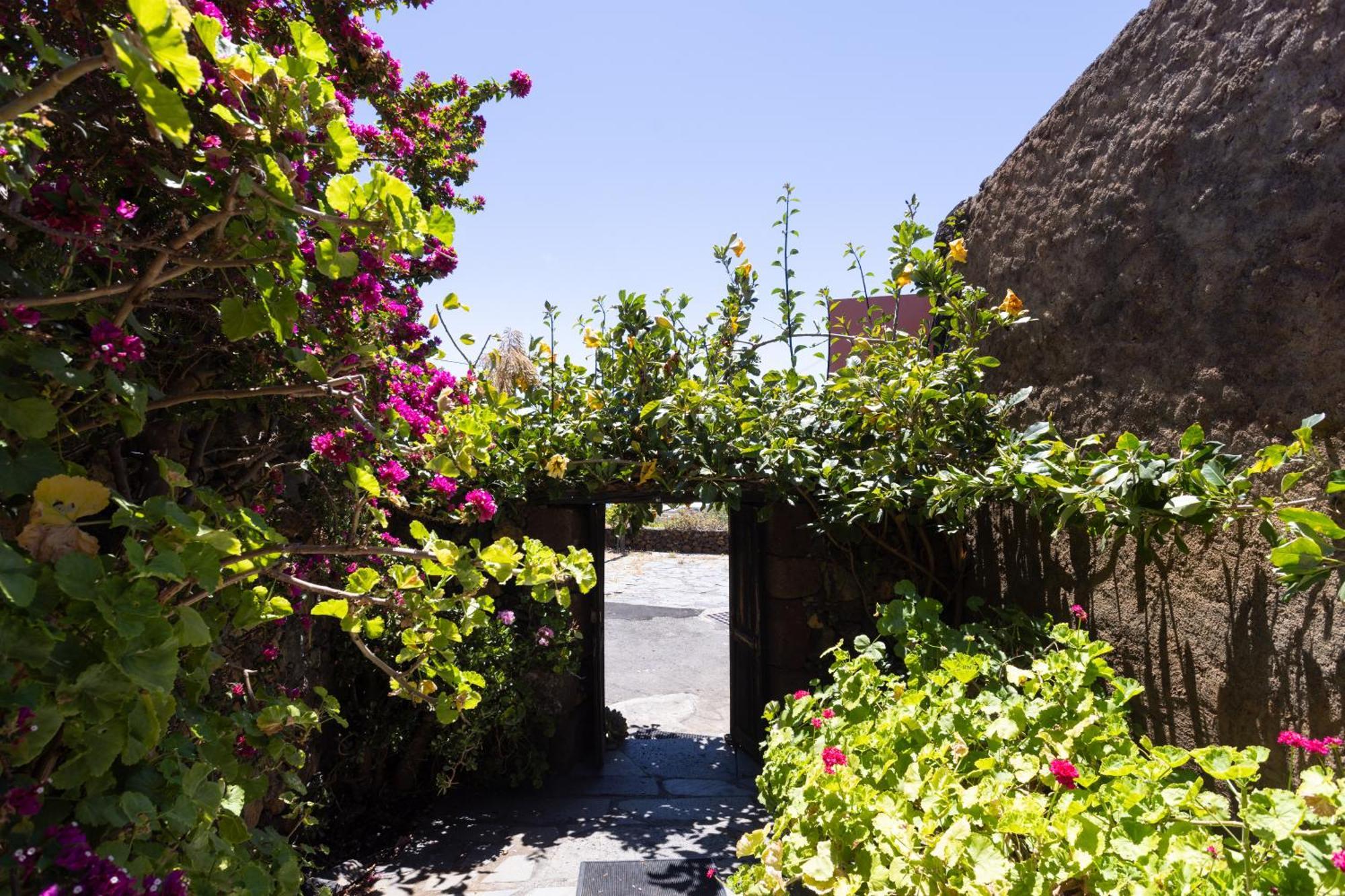 Charming Rustic House El Pinar & Wifi Pensionat Eksteriør billede